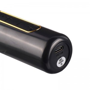اسپیکر بلوتوثی سینگ ای ZQS1490W + میکروفون