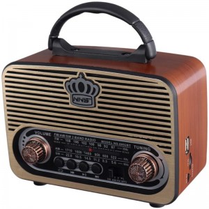 رادیو اسپیکر بلوتوثی رم و فلش خور NNS NS-8092BT