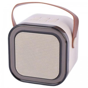 اسپیکر بلوتوثی Colorful Karaoke Sound System + میکروفون