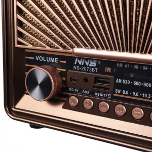 رادیو اسپیکر بلوتوثی ان ان اس NS-2073BT
