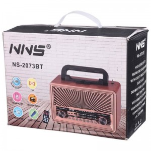 رادیو اسپیکر بلوتوثی ان ان اس NS-2073BT