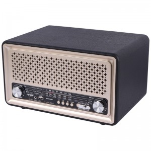رادیو اسپیکر بلوتوثی ان ان اس NS-6690BT