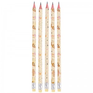 مداد مشکی پرودون Prodone RP-2023-3 بسته 12 عددی