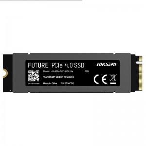 حافظه SSD هایک سمی Hiksemi Future Lite 1TB M.2