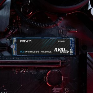 حافظه SSD پی ان وای PNY CS1031 256GB M.2