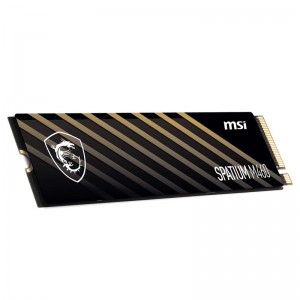 حافظه اس اس دی ام اس آی MSI Spatium M460 1TB M.2