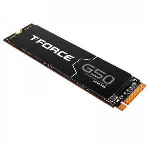 هارد SSD تیم گروپ Teamgroup G50 1TB M.2