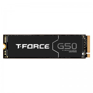 حافظه SSD تیم گروپ Teamgroup G50 1TB M.2