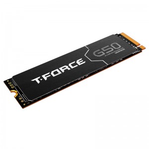 هارد اس اس دی تیم گروپ Teamgroup G50 1TB M.2