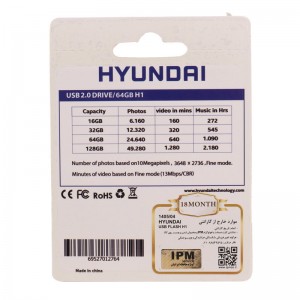 فلش 64 گیگ Hyundai Bravo H1