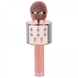 میکروفون اسپیکر سینگ ای ZQS858