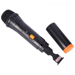 اسپیکر چمدانی بلوتوثی گلکس بیت GS-61 + میکروفون و ریموت کنترل