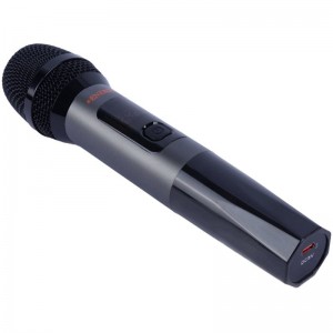 اسپیکر چمدانی بلوتوثی ایکس انرژی Thunder + میکروفون و ریموت کنترل
