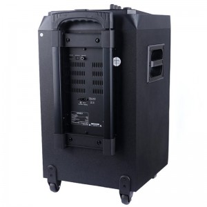 اسپیکر چمدانی بلوتوثی ایکس انرژی Thunder + میکروفون و ریموت کنترل