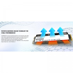 حافظه SSD تیم گروپ Teamgroup NV5000 2TB M.2