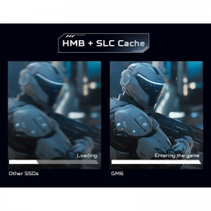 حافظه SSD ایسر Acer Preedator GM6 1TB M.2