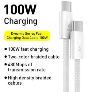 کابل دو سر تایپ سی فست شارژ 100 وات باسئوس P10381400111 طول 1 متر