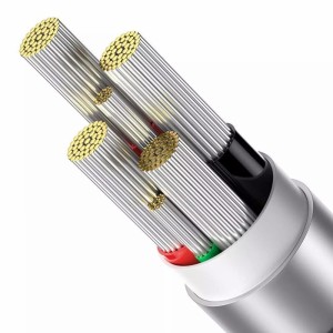 کابل دو سر تایپ سی فست شارژ 100 وات باسئوس P10375203212 طول 1 متر