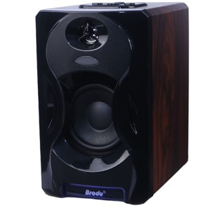 اسپیکر بلوتوثی برودو BTS-1321