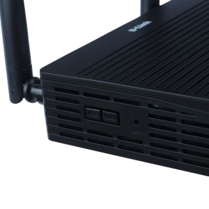 مودم روتر فیبر نوری دی لینک DPN-1251M