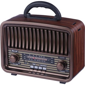 رادیو اسپیکر بلوتوثی گولون RX-BT929