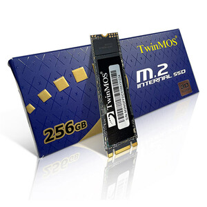 حافظه اس اس دی SSD توین موس TwinMos NGFFEGBM2280 256GB M.2
