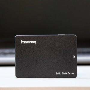 حافظه SSD فانشیانگ Fanxiang S101 240GB