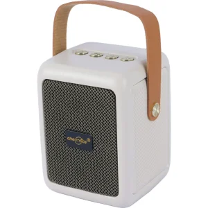 اسپیکر بلوتوثی گریت نایس GTS-2201