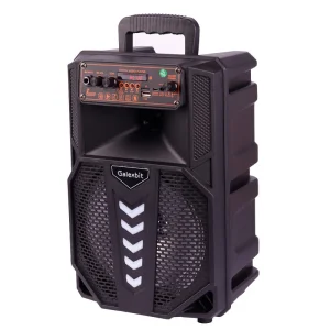 اسپیکر بلوتوثی گلکس بیت GS19 + میکروفون و ریموت کنترل
