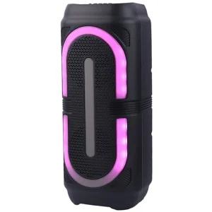 اسپیکر بلوتوثی گریت نایس GTS-2132 + میکروفون
