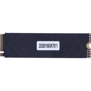 حافظه SSD اپیسر AS2280P4 256GB M.2