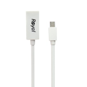 تبدیل Royal Mini Display To HDMI