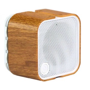 اسپیکر بلوتوثی رم و فلش خور TSCO TS 2385