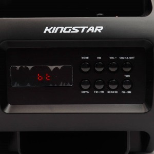 اسپیکر بلوتوثی رم و فلش خور KingStar KBS250