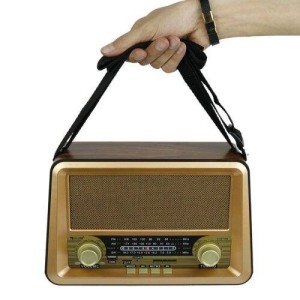 رادیو اسپیکر بلوتوثی رم و فلش خور Golon RX-BT006