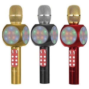 میکروفون و اسپیکر اورجینال WSTER WS-1816