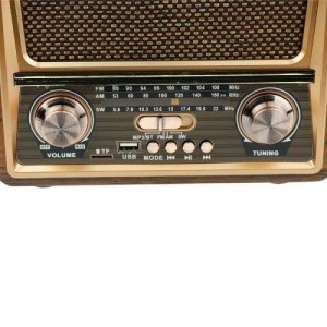 رادیو اسپیکر بلوتوثی رم و فلش خور Raiseng R-2055BT