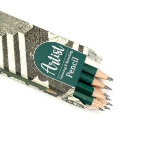 مداد طراحی آریا Arya Artist 3500 B بسته ۱۲ عددی