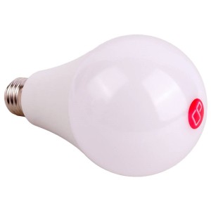 لامپ حبابی LED پرووان ProOne PLL20 E27 20W