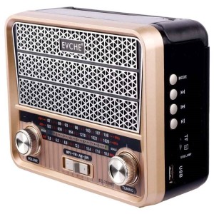 رادیو اسپیکر بلوتوثی رم و فلش خور Evche EC-2109BT