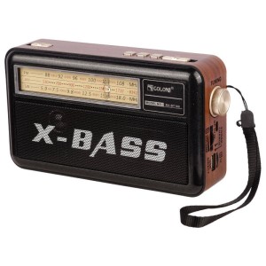 رادیو اسپیکر بلوتوثی رم و فلش خور Golon X-Bass RX-BT168