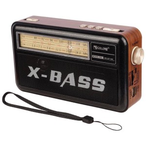 رادیو اسپیکر بلوتوثی رم و فلش خور Golon X-Bass RX-BT168