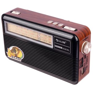 رادیو اسپیکر بلوتوثی رم و فلش خور Golon RX-BT169