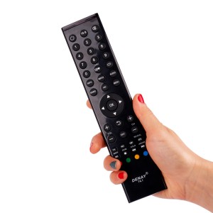 کنترل تلویزیون دنای Denay T4.1