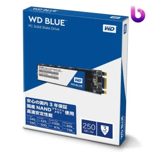 حافظه SSD وسترن دیجیتال Western Digital Blue 250GB M.2