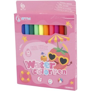 ماژیک نقاشی 12 رنگ اس تی ام STM S1005-12