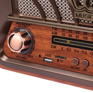 رادیو اسپیکر بلوتوثی رم و فلش خور Raiseng R-1957BT
