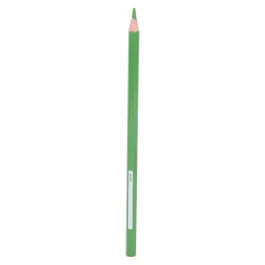 School max 12 pieces Color Pencil