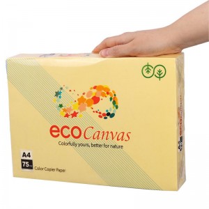 کاغذ آ4 رنگی Eco Canvas 75g بسته 500 عددی