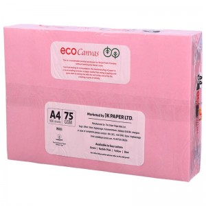 کاغذ A4 رنگی Eco Canvas 75g در بسته بندی 500 تایی